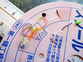 2024年はカイワリ7戦して5満足、1まぁまぁ、1回だけ惨敗