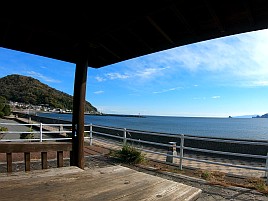 治久丸船長と初島沖は裏切らない！ カイワリ19匹と大満足