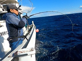 土曜日ならカイワリ、日曜だとカイワリ・シロアマで悩む～