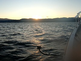 治久丸船長と初島沖は裏切らない！ カイワリ19匹と大満足