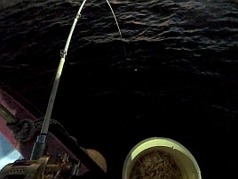 人生初の良型シマアジの魚信→ひゃほ～い→ハリス切れ瞬殺