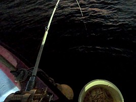 夜釣りでリールや手元をピンポイントで照らすライトない？