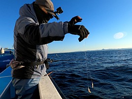 お雑煮用のアマダイ調達し釣り納めミッションコンプリート