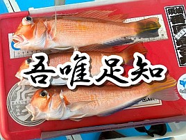 【動画】誘いすぎたらお正月のお雑煮が具なしになる重圧w