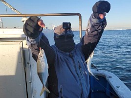 アジは吉、シロギス末吉、機械は大凶…そんな初釣りだった