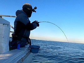 アジは吉、シロギス末吉、機械は大凶…そんな初釣りだった