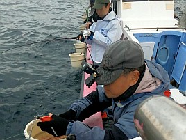 アジは吉、シロギス末吉、機械は大凶…そんな初釣りだった