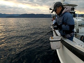 シャクリ疲れてハイになったらいきなり始まりカイワリ19匹