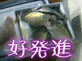【動画】首を傾げながら諦めず休まずシャクる者しか勝たん