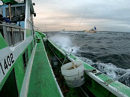 海も風もアジもカメラまで気難しいかったけどなんとか21匹