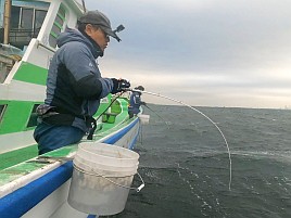 海も風もアジもカメラまで気難しいかったけどなんとか21匹