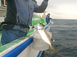 海も風もアジもカメラまで気難しいかったけどなんとか21匹