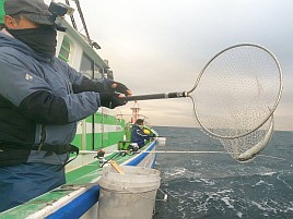 海も風もアジもカメラまで気難しいかったけどなんとか21匹