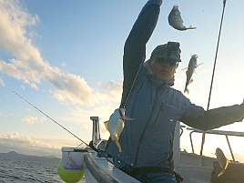伊豆のアマダイに猛烈に嫌われてカイワリ14匹に慰められる