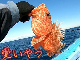 【動画】アウェイ感のない船宿だとおっさん大はしゃぎする