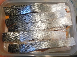 エサは長め指定に湖西市ふるさと納税の鮭皮を15センチに切る