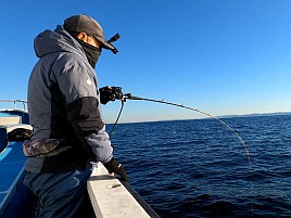 マハタ、アオハタ、シロアマも…えいあん丸の「ライト根魚」