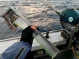 波2mに一投目前から既に船酔いリタイヤ気味でキンメ7匹