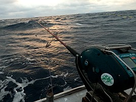 波2mに一投目前から既に船酔いリタイヤ気味でキンメ7匹