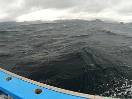 痛風再発し揺れる船上で踏ん張ると激痛!! でもクロムツ8匹