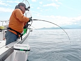 イサキがぁ!! カイワリは!?て事ではなく僕は釣りが下手なの