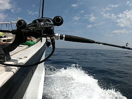 イサキがぁ!! カイワリは!?て事ではなく僕は釣りが下手なの