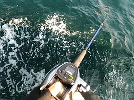 40センチ・1.3キロの相模湾自己最大のオニカサゴで大満足