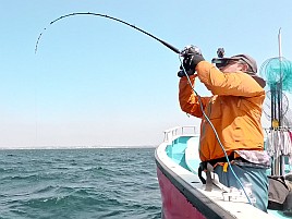 40センチ・1.3キロの相模湾自己最大のオニカサゴで大満足
