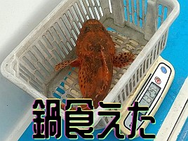 【動画】本命1匹なのに10分超の動画を作ってしまったwww