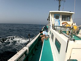 ハタガチャはハズレも城ヶ島沖ライト根魚は魚信多く楽しい