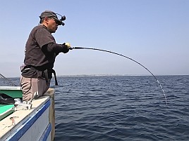 ハタガチャはハズレも城ヶ島沖ライト根魚は魚信多く楽しい