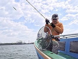 多動性を封印しタナ合わせたら目を閉じて待つとマゴチ3匹