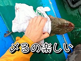【動画】自分の竿が曲がっているのを見ながら飲む酒は旨い