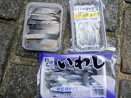 デカアカムツ狙いにイワシ、コノシロ、特製鮭皮、サバ短も