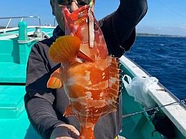 そろそろカイワリ行きたいけどアカハタとリレーは可能かな