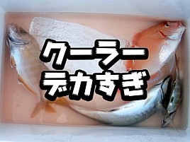【動画】「違う」って叫び…この1カ月で一番大きな声な気が