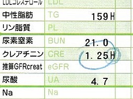 痛風危機が去ったら今度はたんぱく質の摂取量制限くらう？