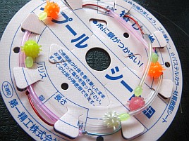 5年以上ぶりの土日連荘で稲取アカムツ→東京湾エギダコに!!