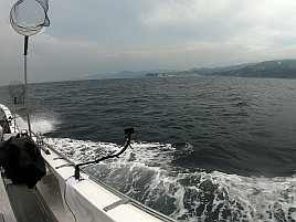 “アレ”抜きだけどなんだか美味しそうな稲取沖中深場五目♪