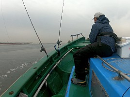 2025年の東京湾奥マダコは絶好調！ ただし俺の船下は除く