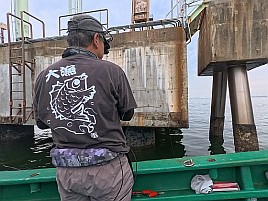 2025年の東京湾奥マダコは絶好調！ ただし俺の船下は除く