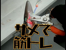 【動画】船長は申し訳なさそうにしていたが撮れ高十分だよ