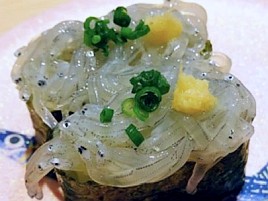 カイワリ釣るのに金に糸目は付けない。生食用生しらす買う