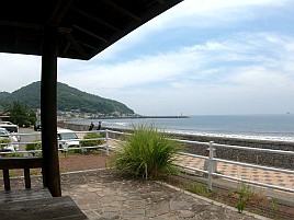 34cm・32cmのデカイワリ込み9匹で手術前釣り納め大満足