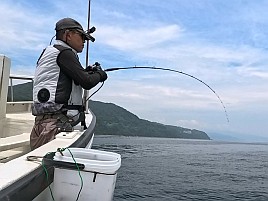 34cm・32cmのデカイワリ込み9匹で手術前釣り納め大満足