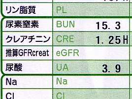 尿酸3.9で痛風なんて怖くない♪ 次はたんぱく質制限解除を