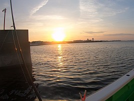 昼のメバル釣りと夜メバル釣りは全く別の釣り？ 4匹と撃沈