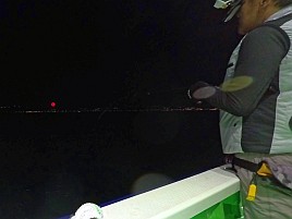 夜メバルで来年振り出しに戻らないための内容の薄い備忘録