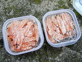 アマダイ行けそうな気がしてきたからオキアミの尻尾を切る