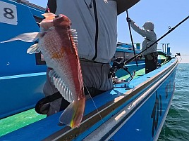 中1小2幼1…色っぽい熟アマのお姉さんはいないけど十分だ